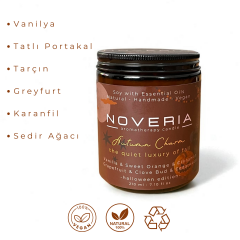 Aromaterapi Soya Mum - Doğal ve Vegan - Autumn Charm - 210 ml