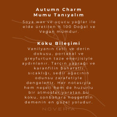 Aromaterapi Soya Mum - Doğal ve Vegan - Autumn Charm - 210 ml
