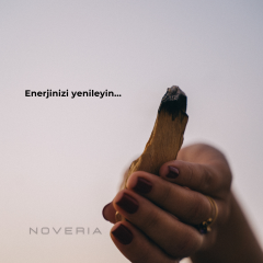 Palo Santo Ağaç Tütsü – 3 Adet / 30-35 g - Peru, Sertifikalı