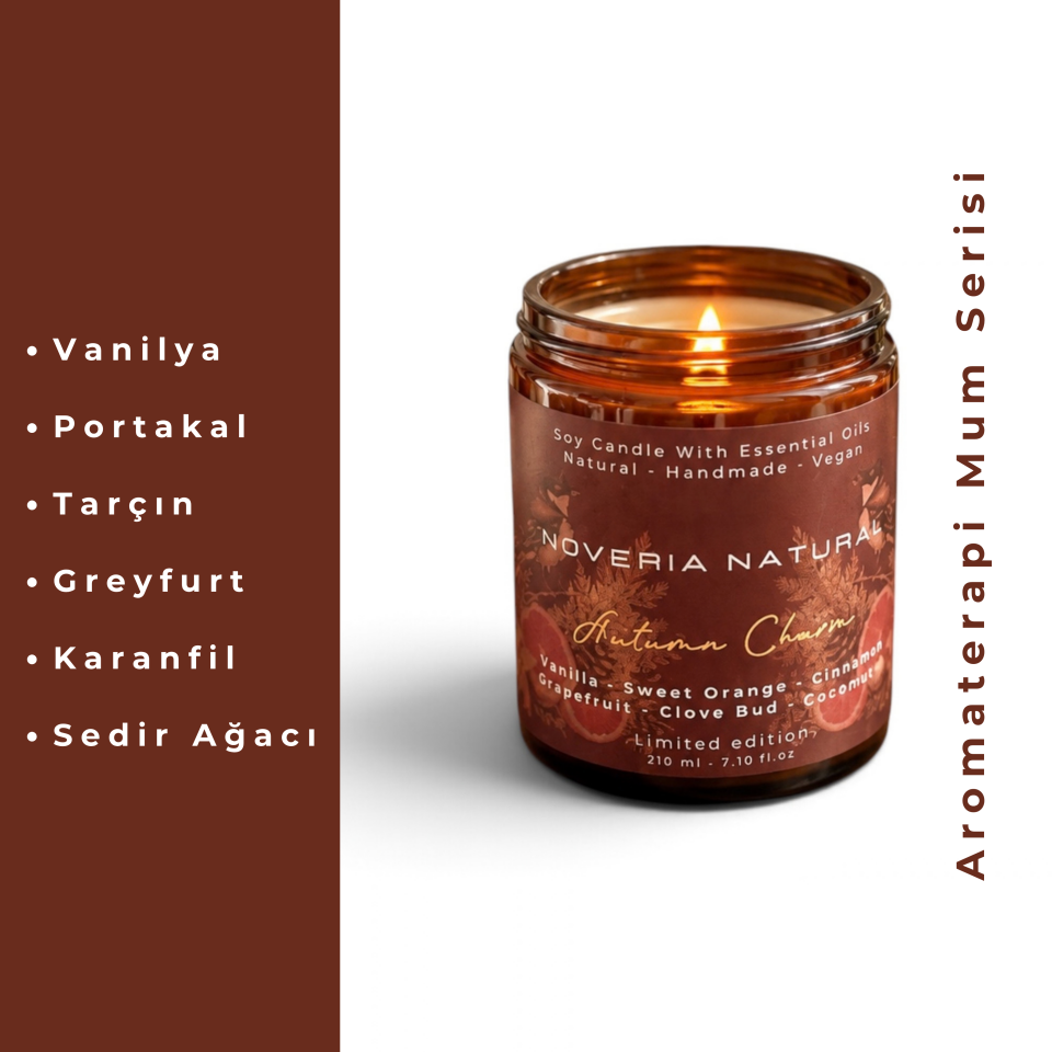 Aromaterapi Soya Mum - Doğal ve Vegan - Autumn Charm - 210 ml