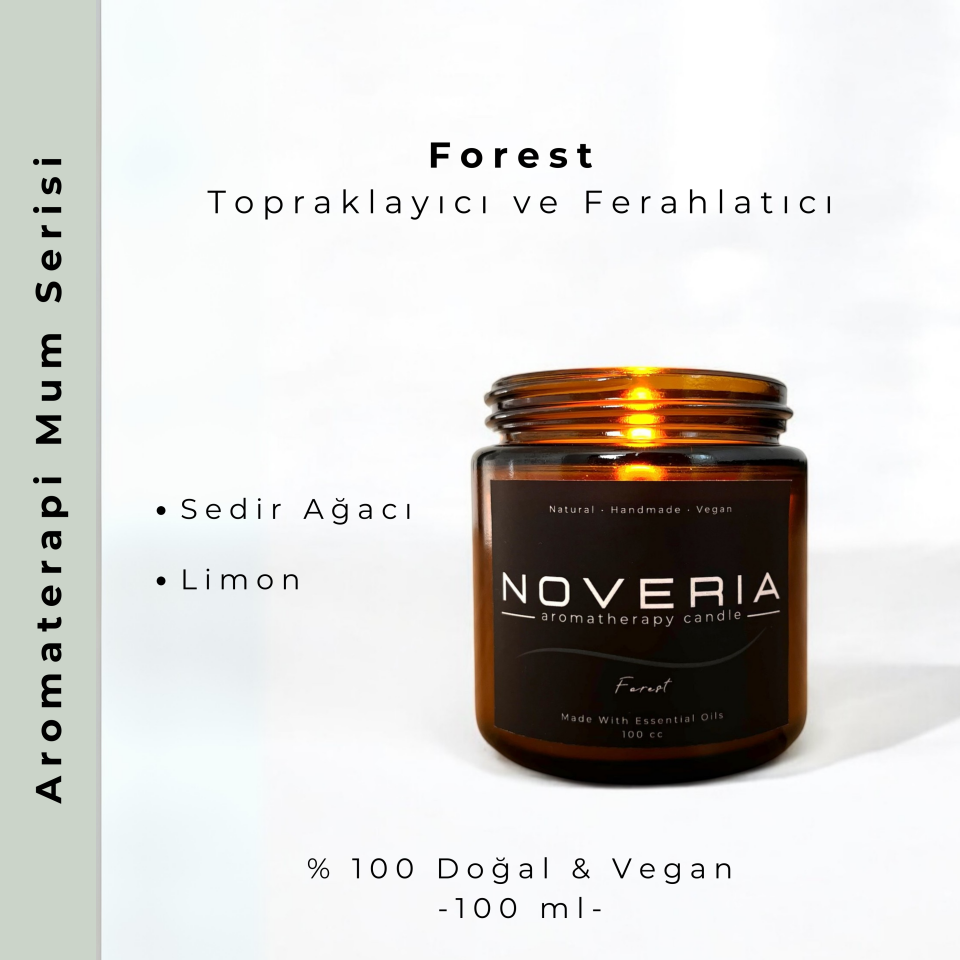 Forest – Sedir Ağacı & Limon Aromaterapi Soya Mum | Doğal, Vegan 100 ml