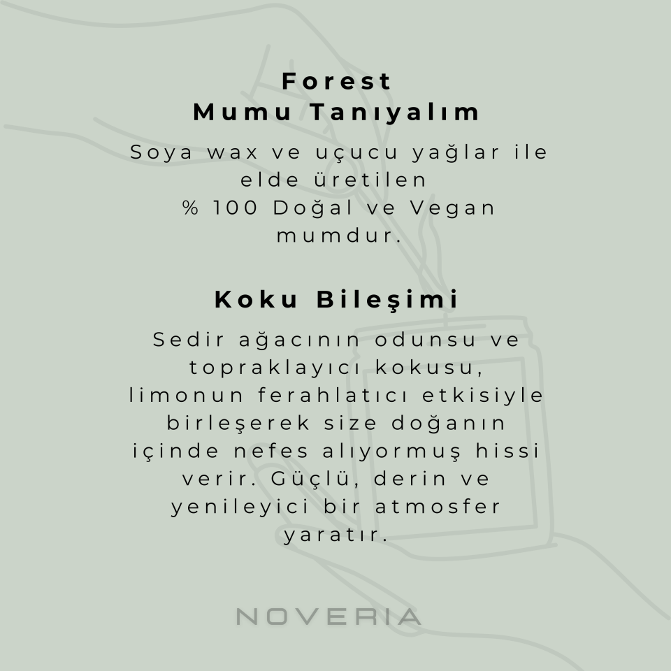 Forest – Sedir Ağacı & Limon Aromaterapi Soya Mum | Doğal, Vegan 100 ml