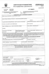 Palo Santo Ağaç Tütsü – 3 Adet / 30-35 g - Peru, Sertifikalı